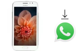 How to install WhatsApp in a Wham WS53