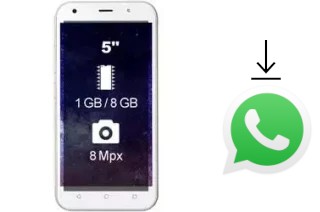 How to install WhatsApp in a Wieppo S5