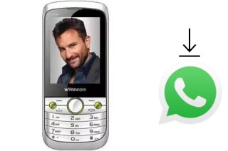 How to install WhatsApp in a Wynncom W405