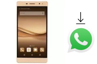 How to install WhatsApp in a X-BQ P10S