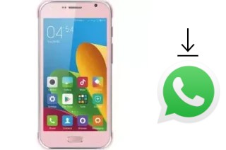 How to install WhatsApp in a X-TIGI J110