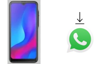 How to install WhatsApp in a X-TIGI V29 PRO