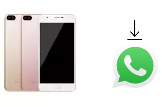 How to install WhatsApp in a Xiaolajiao A1