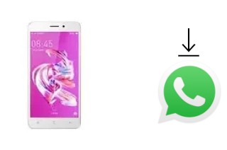 How to install WhatsApp in a Xiaolajiao GM-T11