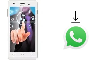 How to install WhatsApp in a XOLO A1010