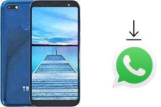 How to install WhatsApp in a YU Ace