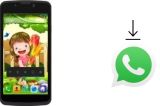 How to install WhatsApp in a Zopo ZP590