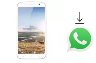 How to install WhatsApp in a Zopo ZP990 Gold Edition