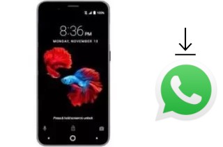 How to install WhatsApp in a ZTE Avid 4