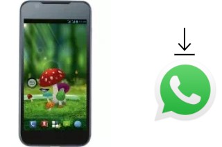 How to install WhatsApp in a ZTE Blade G V880G