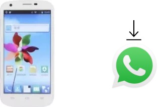 How to install WhatsApp in a ZTE Q801U