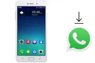 How to install WhatsApp in a ZYQ Q-Mate R99