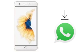 How to install WhatsApp in a ZYQ Q-ME Phone 7 3G