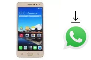 How to install WhatsApp in a ZYQ Q-YOU