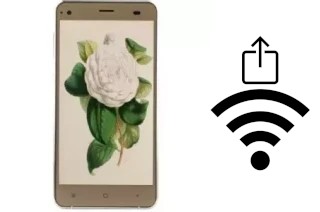 How to generate a QR code with the Wi-Fi password on a VC Camellia II